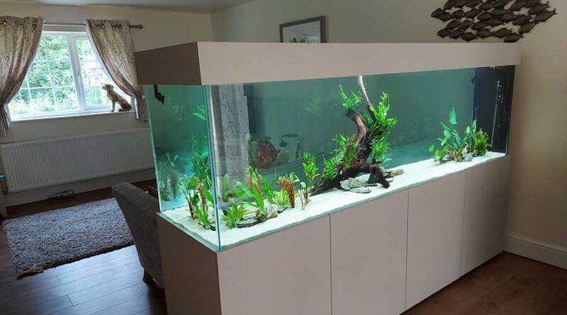 aquarium maison